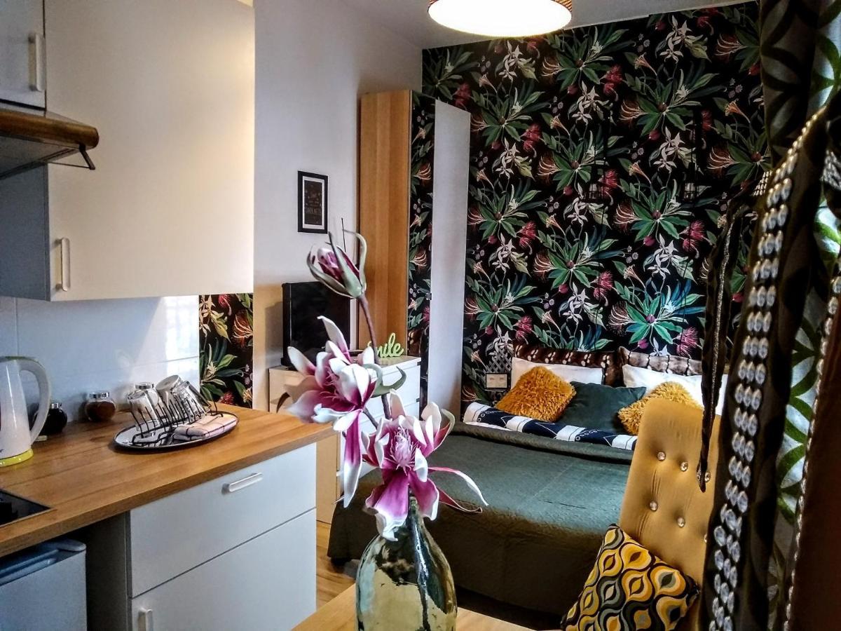 Apartamento Butikevita Spodek By Walk Katowice Exterior foto